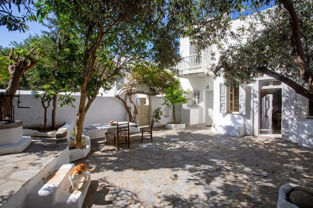Oasis House In The Heart Of Mykonos *